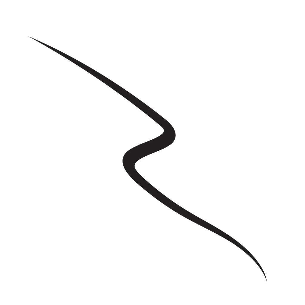 ABSOLUTE LINER eyeliner gel - Black